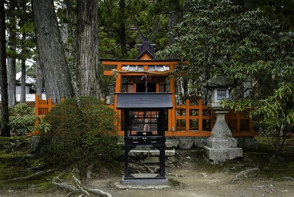 koyasan_japon_jl_1dx_16-04-2014-5155.jpg
