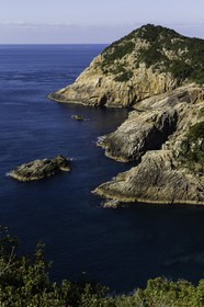 en-route-vers_temple-39_shikoku_japon_22-03_2014-3018.jpg