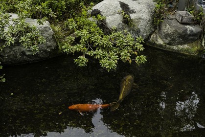enmeiji_temple-54_shikoku_japon_31-03_2014-3485.jpg