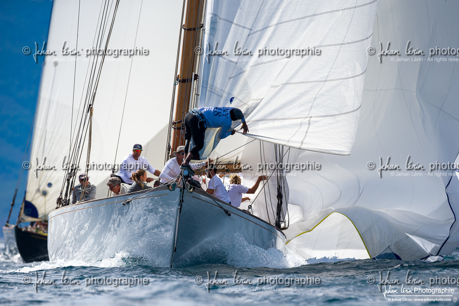 Régates Royales 2025