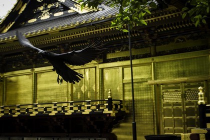 ueno_tokyo_japon_jl_1dx_05-05-2014-6272.jpg