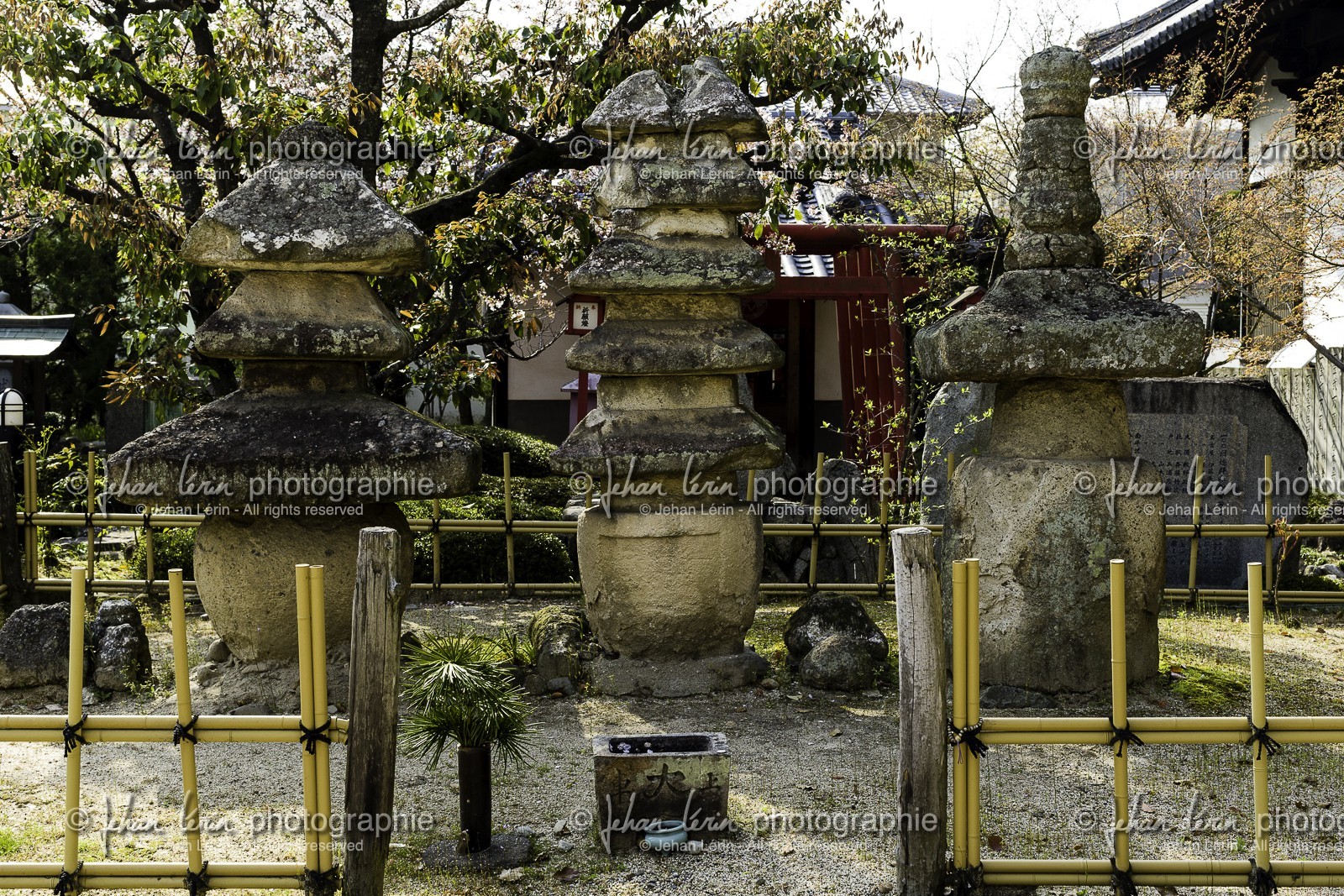 ichinomiyaji_temple-83_shikoku_japon_09-04_2014-4528.jpg