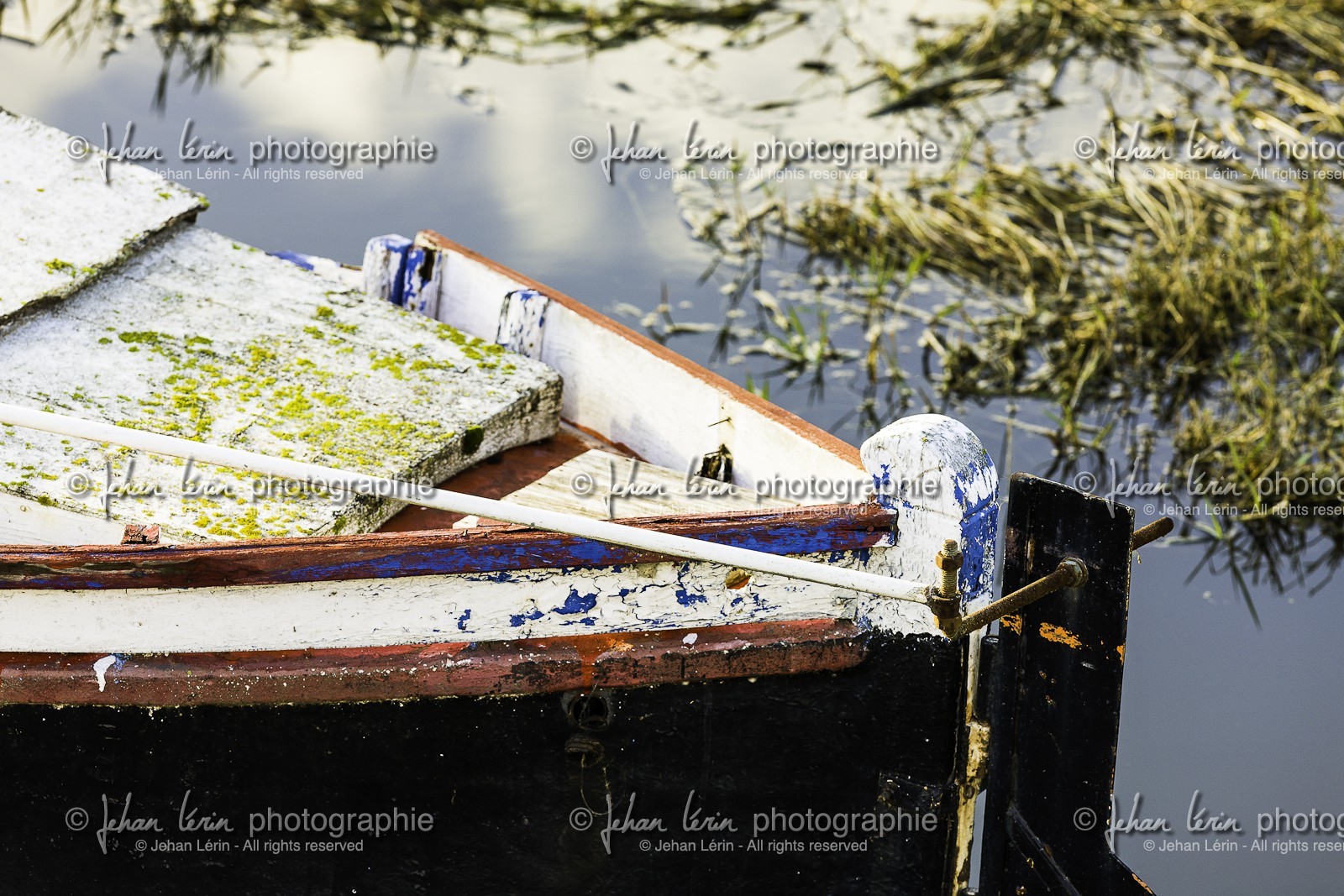 l-albufera_valencia_23-12-2009-7445.jpg