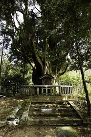 en-route-vers-le-temple-12_shikoku_japon_07-03_2014-0364.jpg