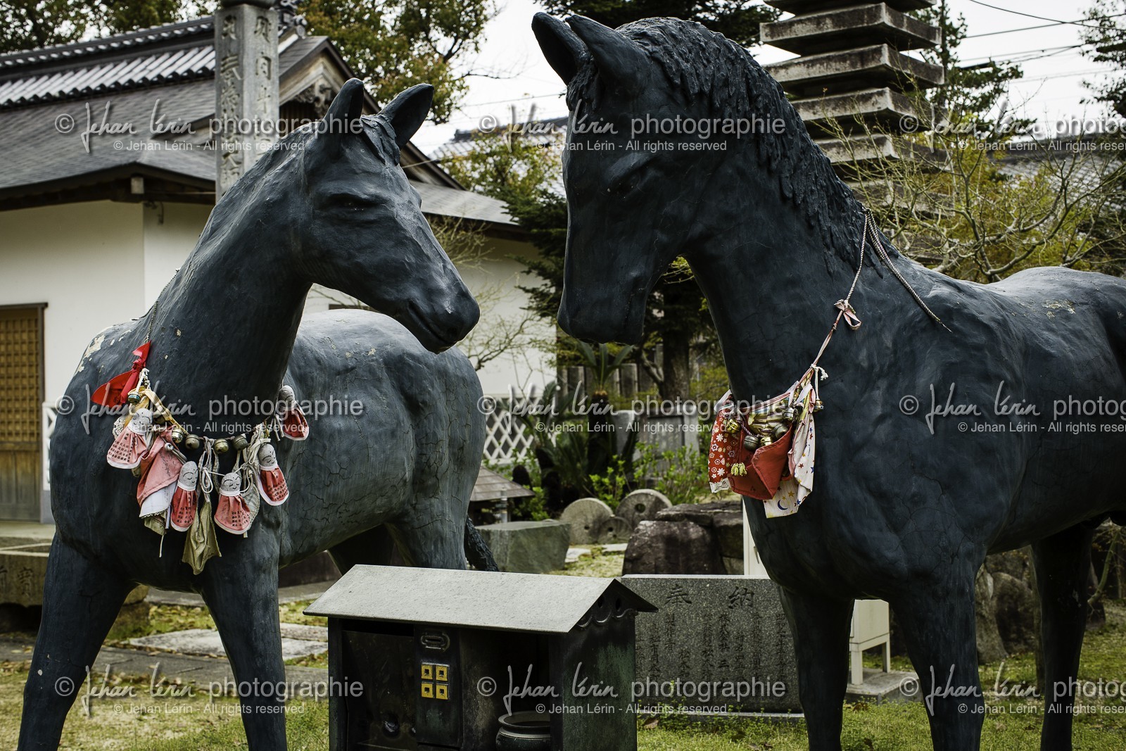 motoyamaji_temple-70_shikoku_japon_06-04_2014-3999.jpg