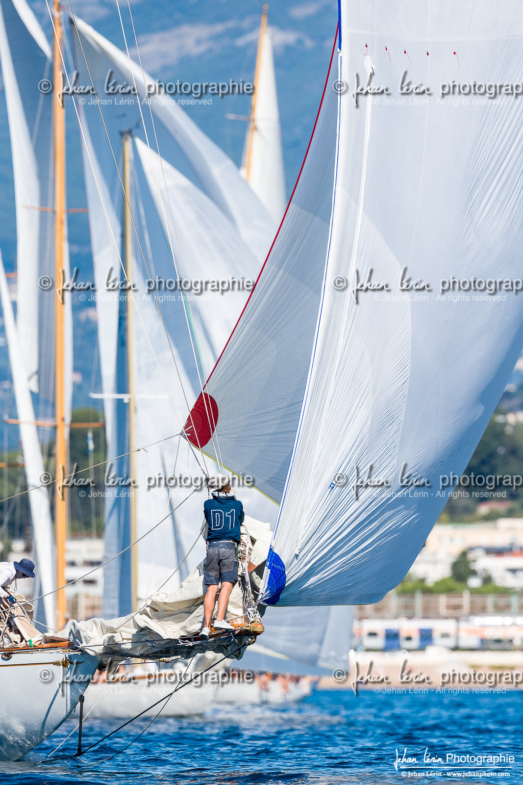 Régates Royales 2024