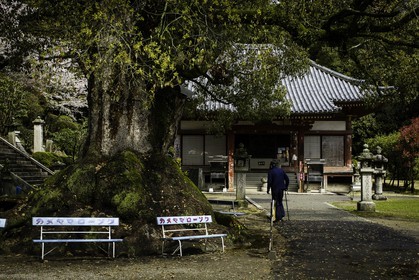 kanonji-et-jinnein_temples-68-et-69_shikoku_japon_06-04_2014-3923.jpg