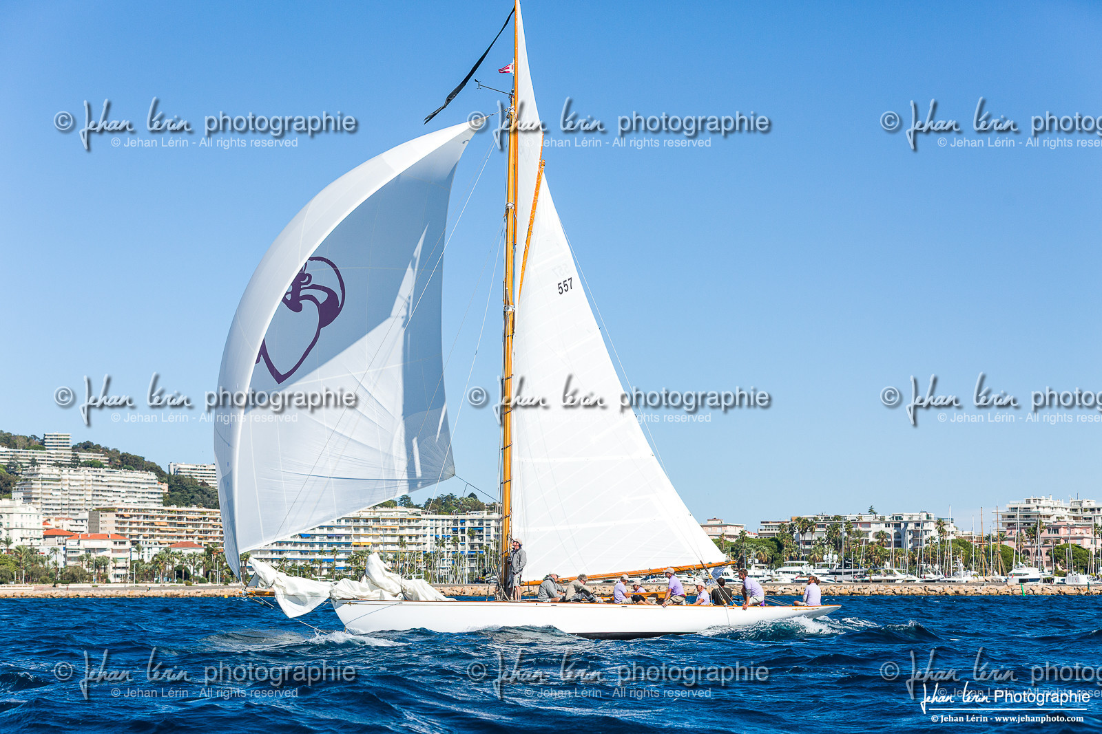 Régates Royales 2025