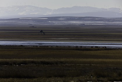 laguna-de-gallocanta_01-02-2011-8464.jpg