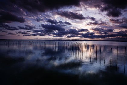l-albufera_valencia_24-09-2011-0010.jpg
