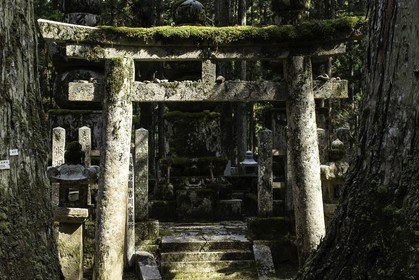 koyasan_japon_jl_1dx_17-04-2014-5326.jpg