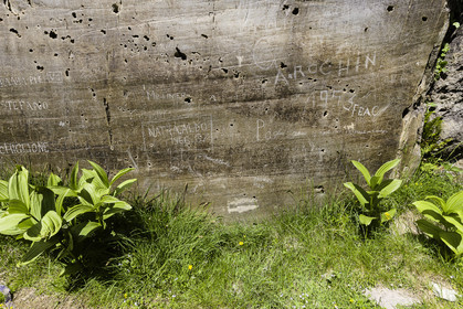 mercantour_france_vallee-des-merveilles_21-06-2012-5823.jpg