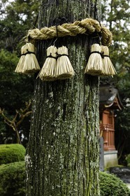 gokurakuji_temple-2_shikoku_japon_05-03_2014-1672.jpg