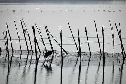 l-albufera_dec-2010-7914.jpg