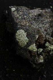 islande_19-03-2015-7914.jpg