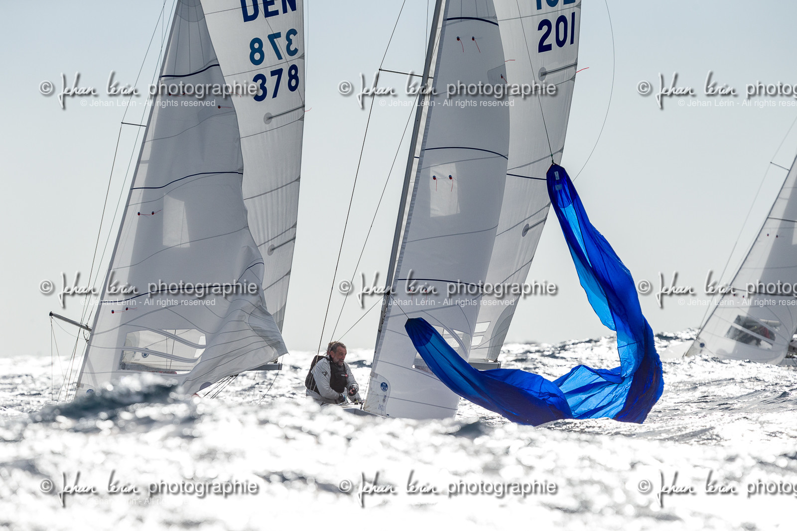 Armistice Cup Dragon 2022