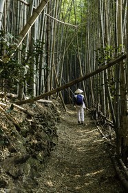 en-route-vers_temple-19_shikoku_japon_09-03_2014-2189.jpg