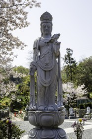 goshoji_temple-78_shikoku_japon_08-04_2014-4339.jpg