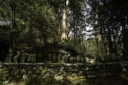en-route-vers-le-temple-12_shikoku_japon_07-03_2014-0366.jpg
