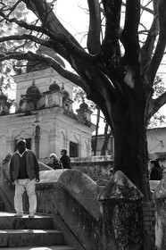 nepal_kathmandu_pashupatinath_10-02-2013-36309.jpg