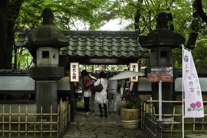 ueno_tokyo_japon_jl_1dx_05-05-2014-6246.jpg