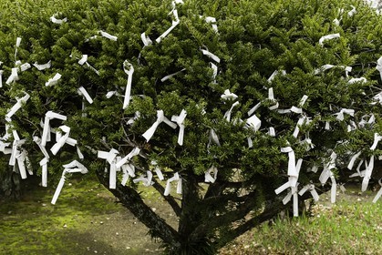 nankobo_temple-55_shikoku_japon_31-03_2014-3520.jpg