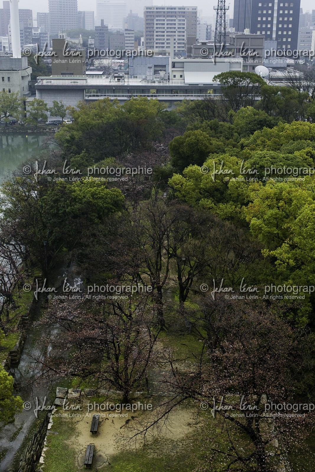 hiroshima_japon_26-03_2014-3195.jpg