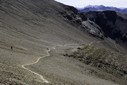 mont-pelat_alpes-de-haute-provence_30-08-2015-9431.jpg