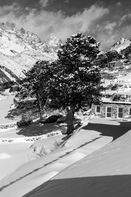 nepal_rolwaling-and-khumbu-area_phortse_17-02-2013-36743.jpg