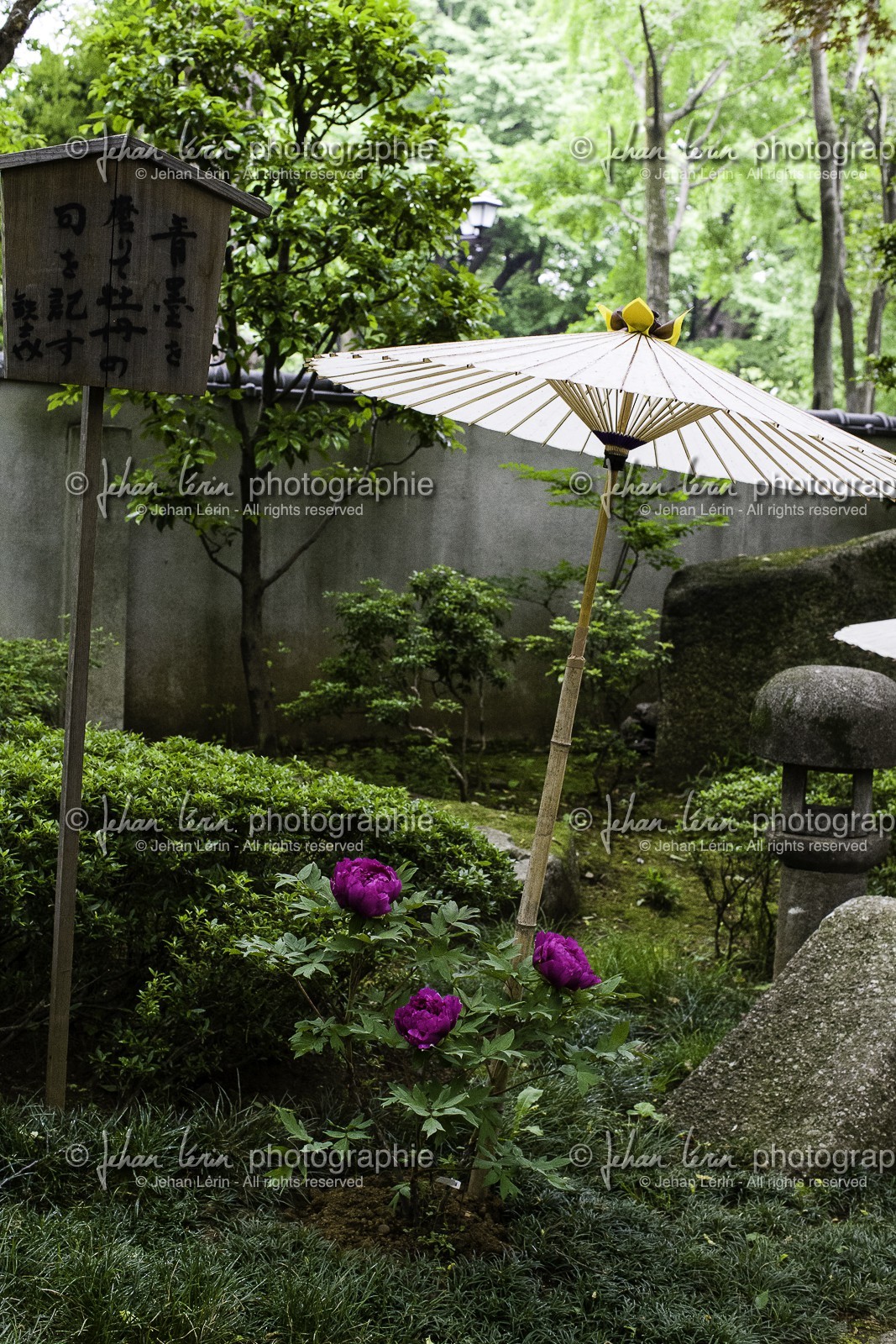 ueno_tokyo_japon_jl_1dx_05-05-2014-6249.jpg
