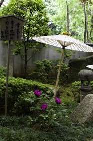 ueno_tokyo_japon_jl_1dx_05-05-2014-6249.jpg