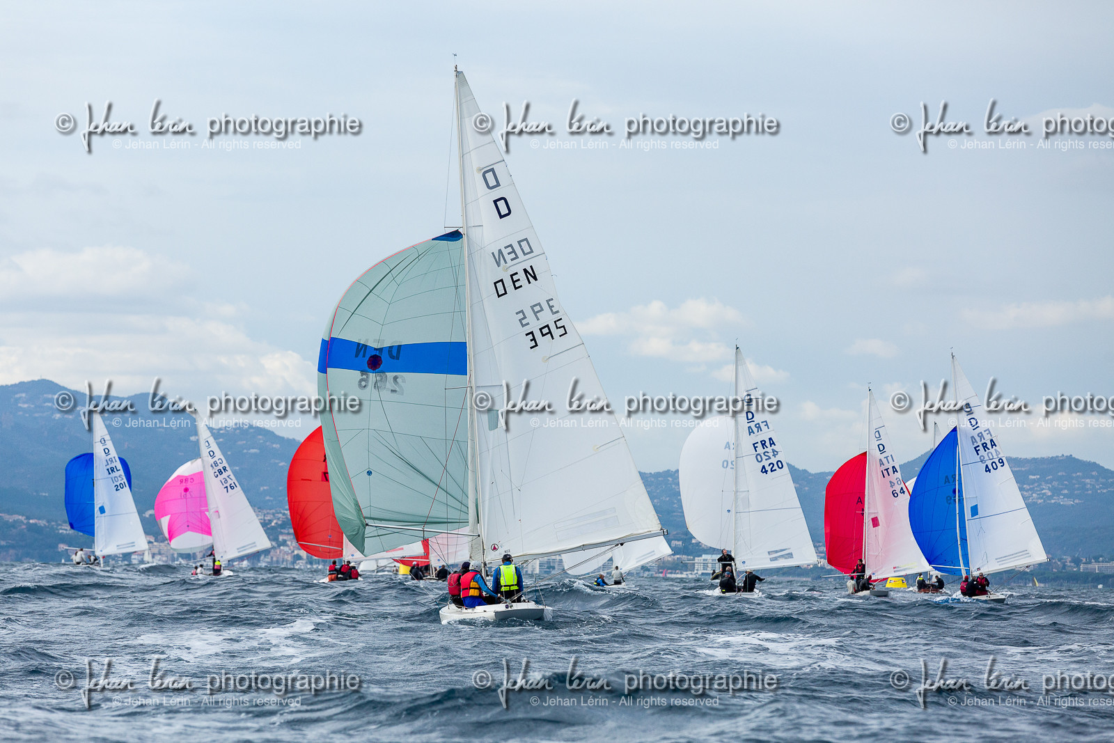 Armistice Cup Dragon 2022