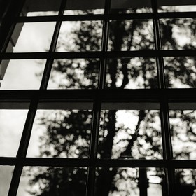 window_leamington-spa_uk-october-2012_1.jpg