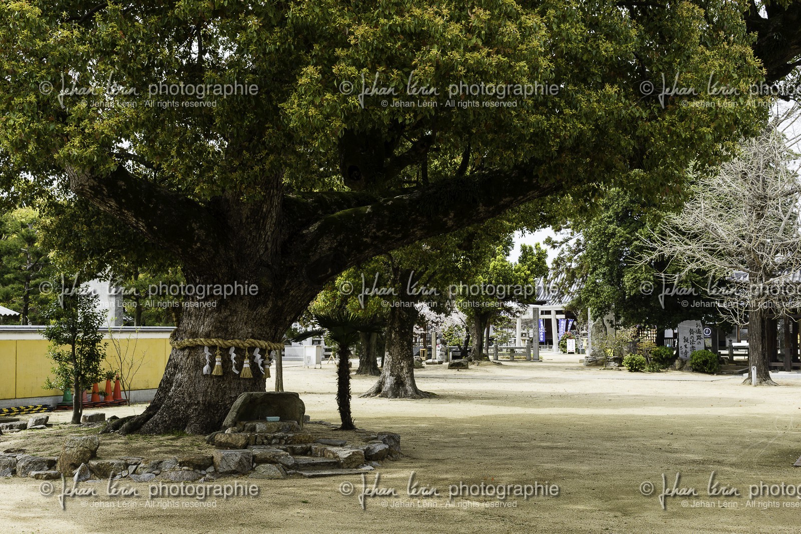 konzoji_temple-76_shikoku_japon_07-04_2014-4211.jpg