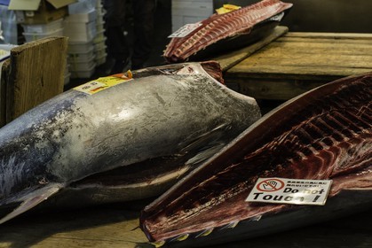 tsukiji-fish-market_tokyo_japon_jl_1dx_08-05-2014-6577.jpg
