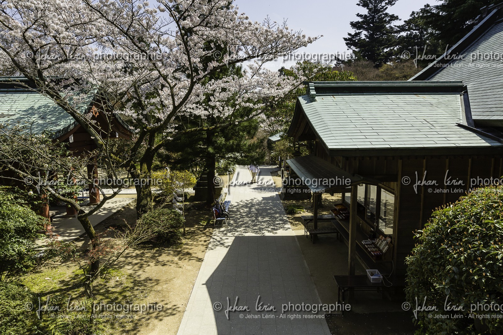 negoroji_temple-82_shikoku_japon_09-04_2014-1106.jpg