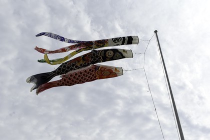 tanabe_kansai_japon_19-04-2014-5428.jpg