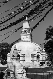 nepal_kathmandu_swayambhunath_27-02-2013-37371.jpg