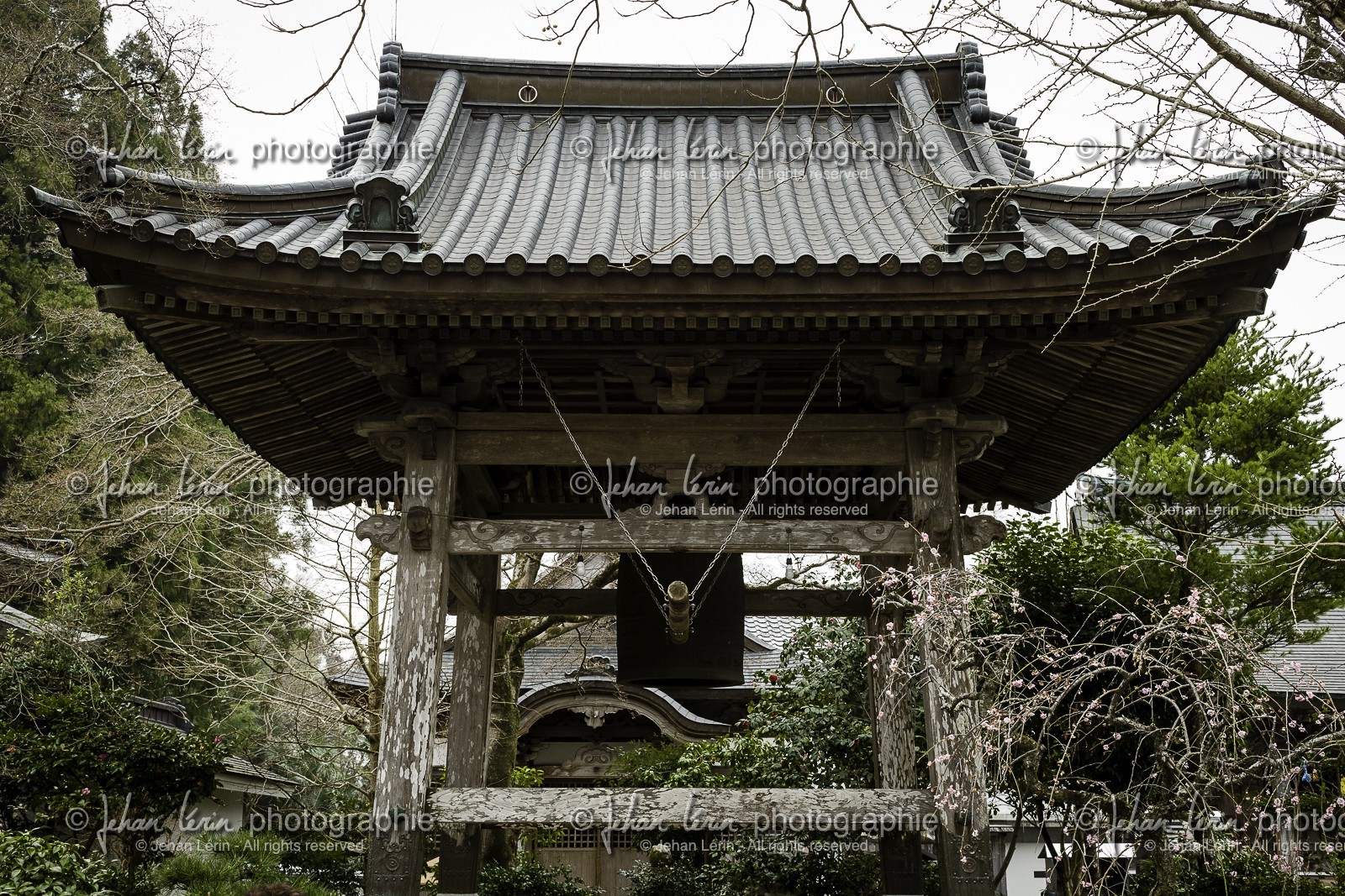 iwamotoji_temple-37_shikoku_japon_19-03_2014-2901.jpg