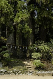 koyasan_japon_jl_1dx_17-04-2014-5191.jpg