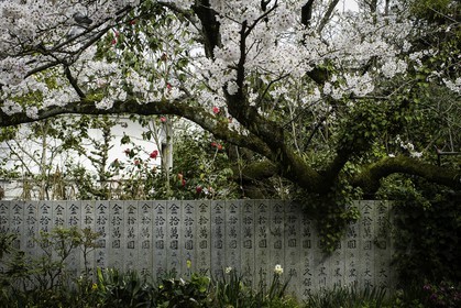 kichijoji_temple-63_shikoku_japon_02-04_2014-3699.jpg