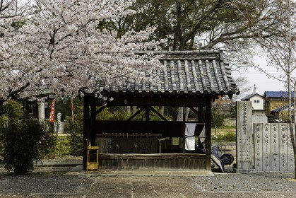 konzoji_temple-76_shikoku_japon_07-04_2014-4237.jpg