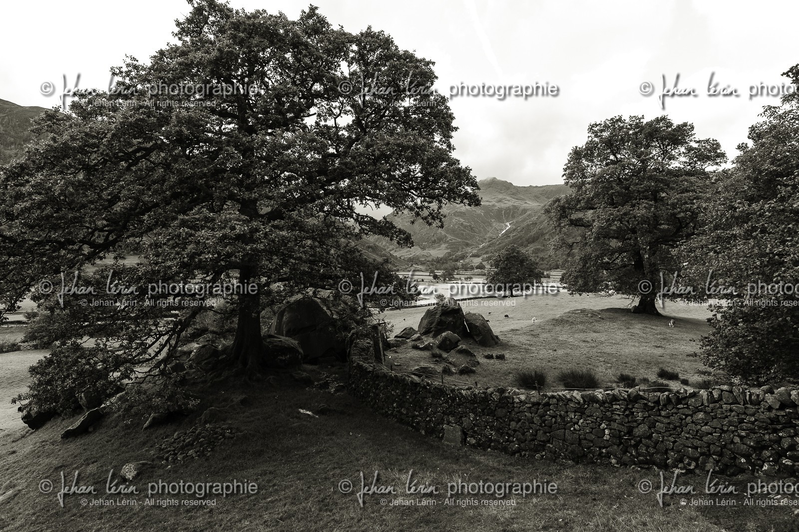 ambleside_lake-district-national-park_uk_oct-2012-2371.jpg