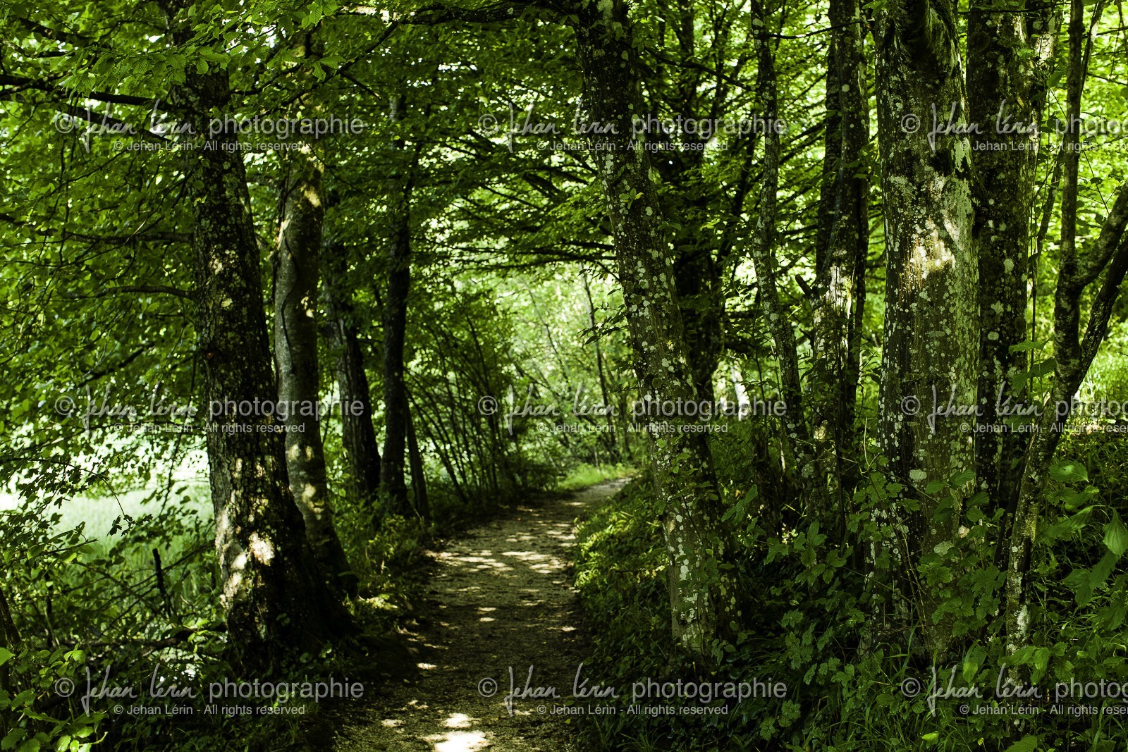 parc-de-plitvice_croatie_24-07-2014-1282.jpg