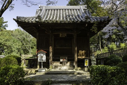 shiromineji_temple-81_shikoku_japon_09-04_2014-1073.jpg