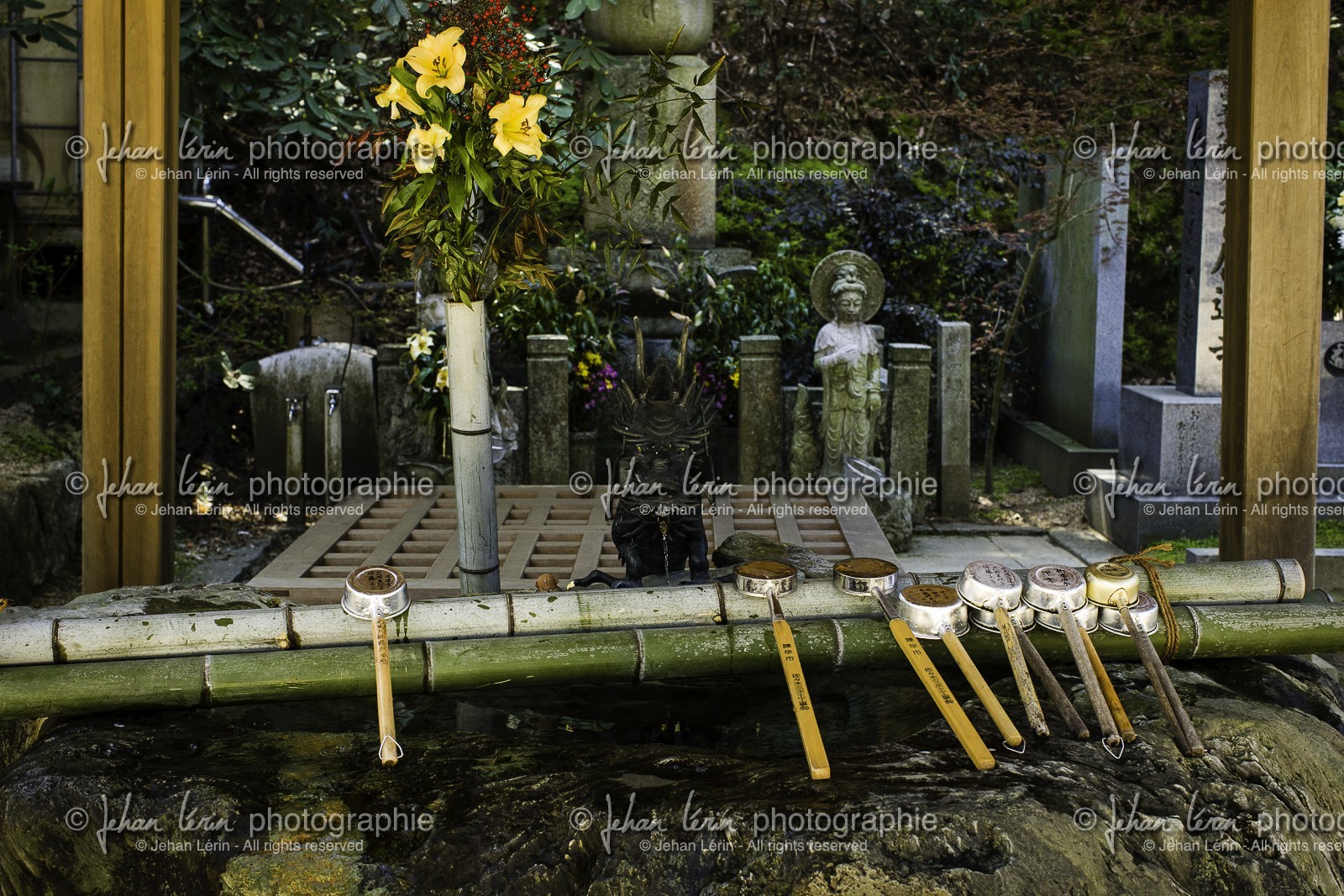 senyuji_temple-58_shikoku_japon_01-04_2014-3568.jpg