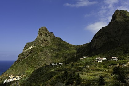 tenerife_avril_2010-0811.jpg