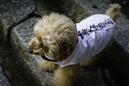 iyadaniji_temple-71_shikoku_japon_06-04_2014-4032.jpg