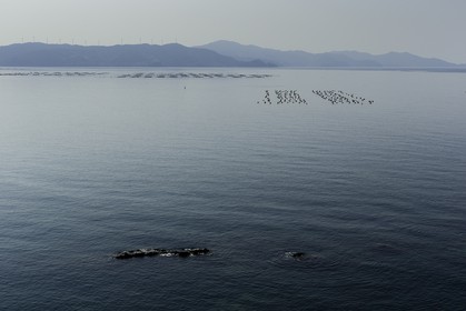 en-route-vers_temple-40_shikoku_japon_23-03_2014-3043.jpg