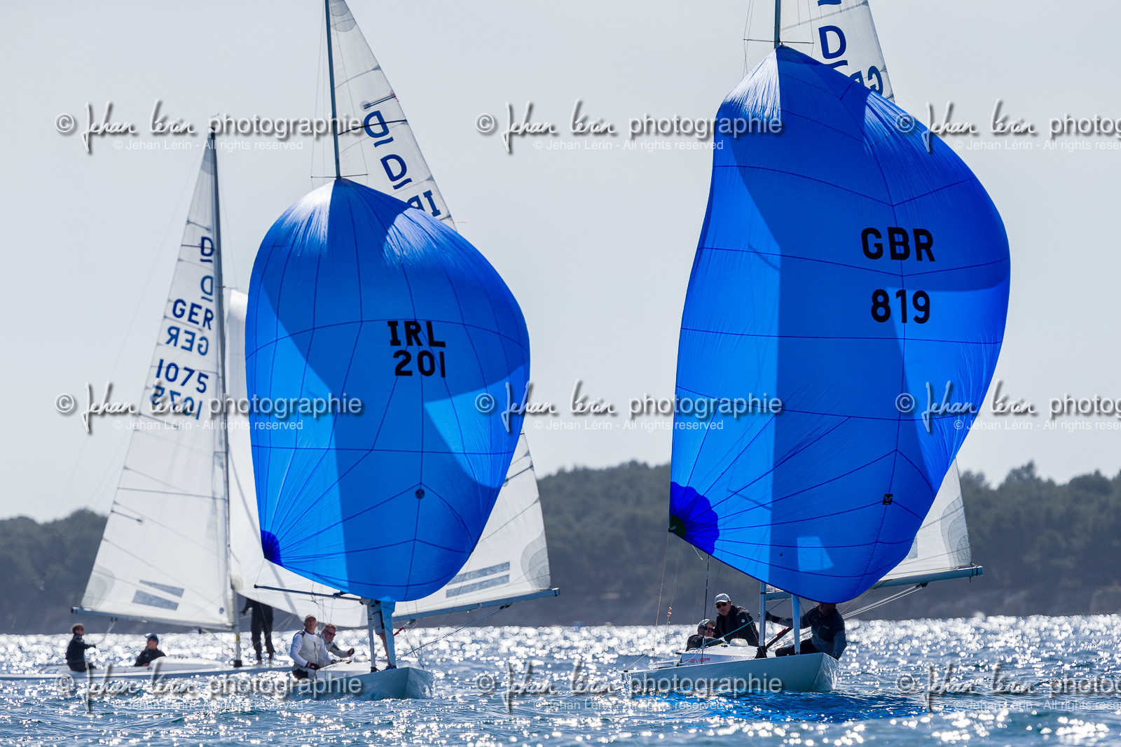 Coupe du Commodore 2023